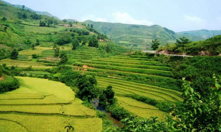 Yen Minh Travel Guides - Ha Giang