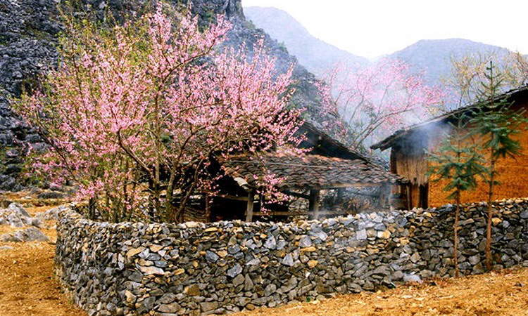 Dong Van Old Town – Ha Giang
