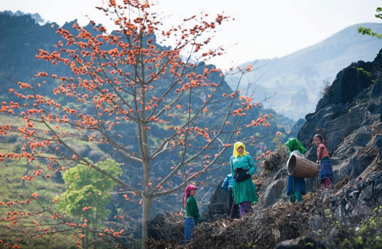 Dong Van Karst Plateau Geopark amazes visitors with its spectacular and unique landscape of high mountains and deep canyons