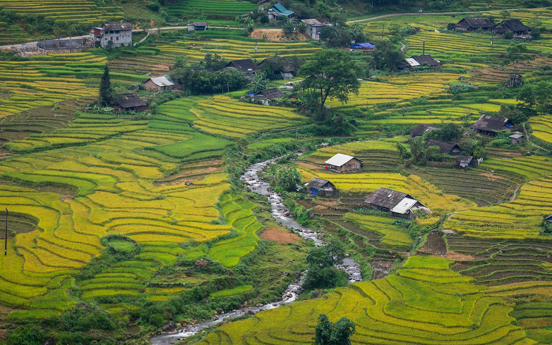 trekking to Lao Chai & Ta Van Village