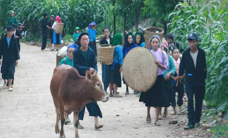 Quyet Tien Market