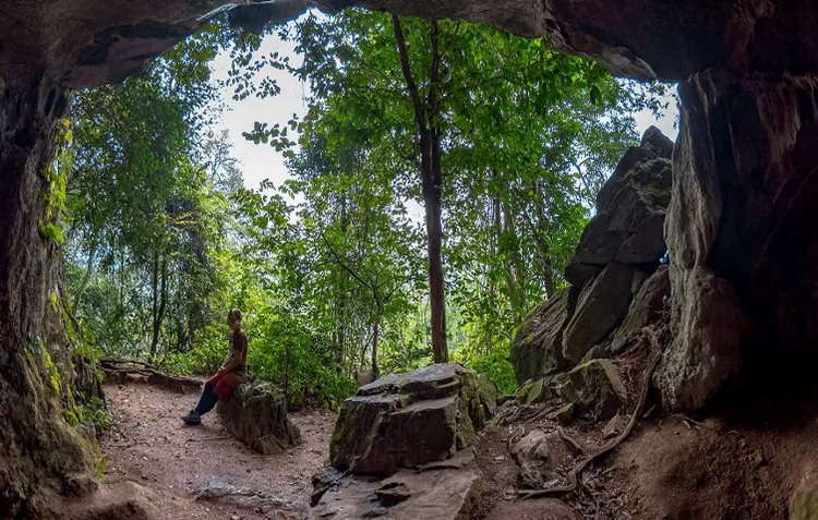 Cuc Phuong national park