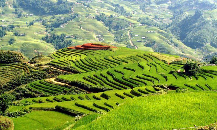 Sapa Full Day Trekking Tour